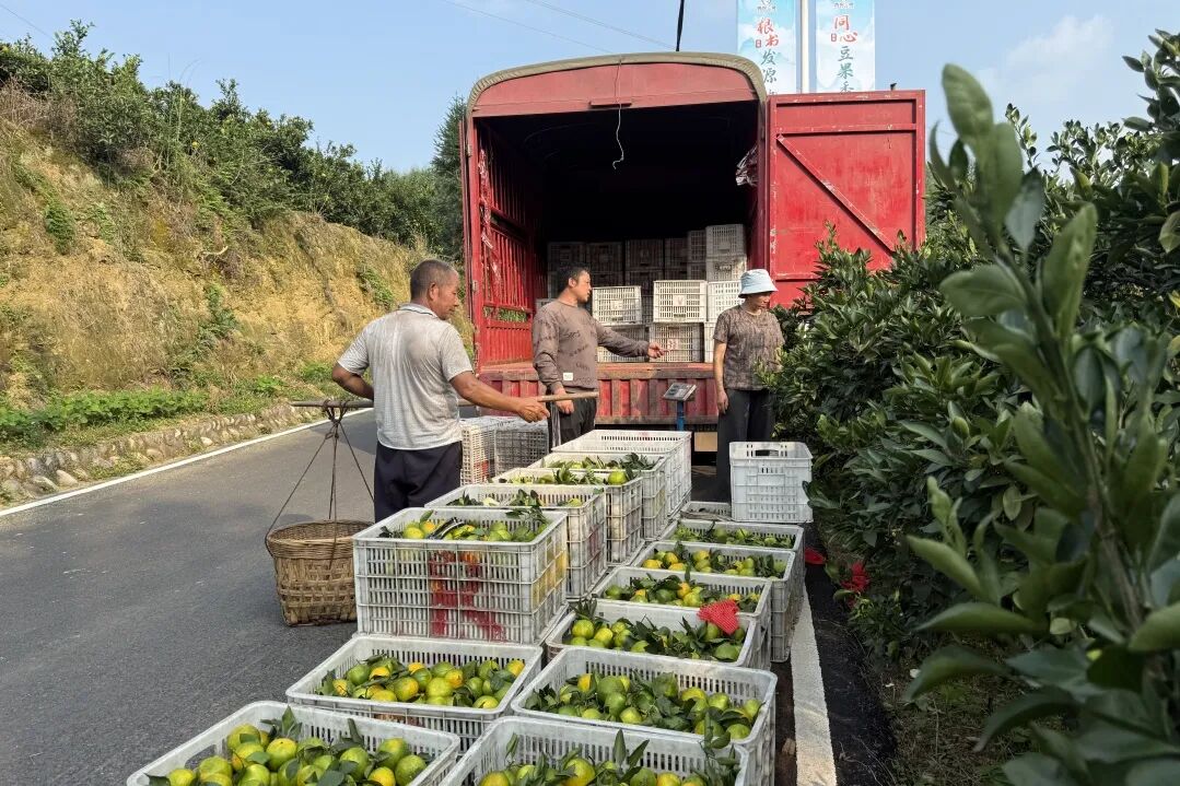 /website-webapp/ewebeditor/uploadfile/3