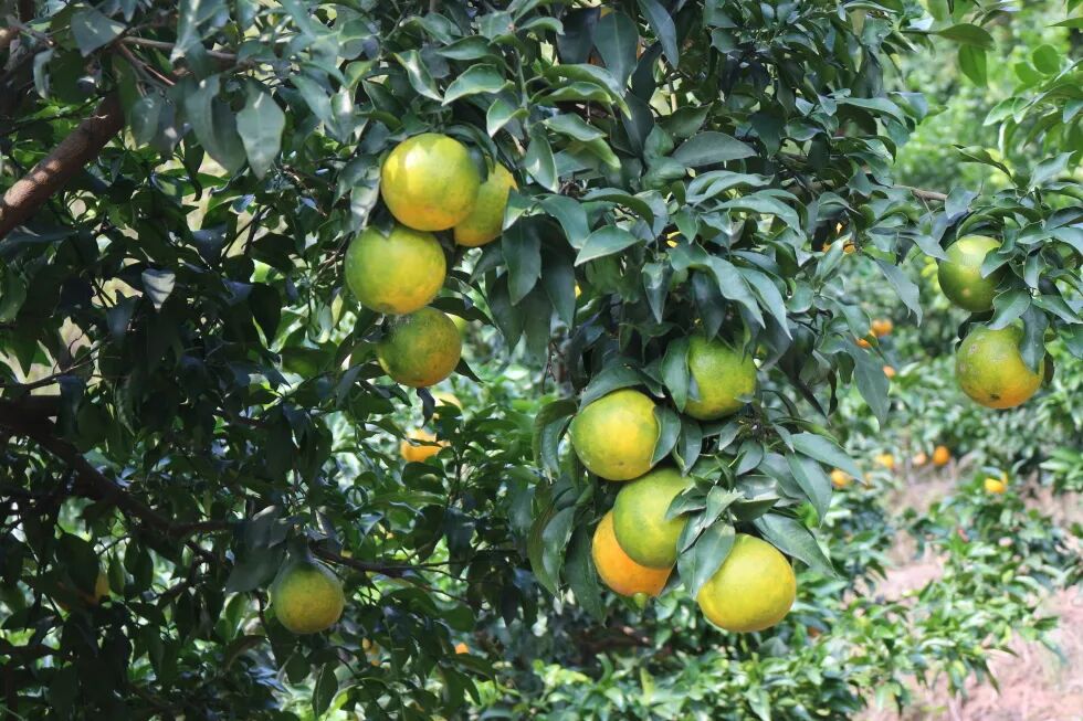 /website-webapp/ewebeditor/uploadfile/1