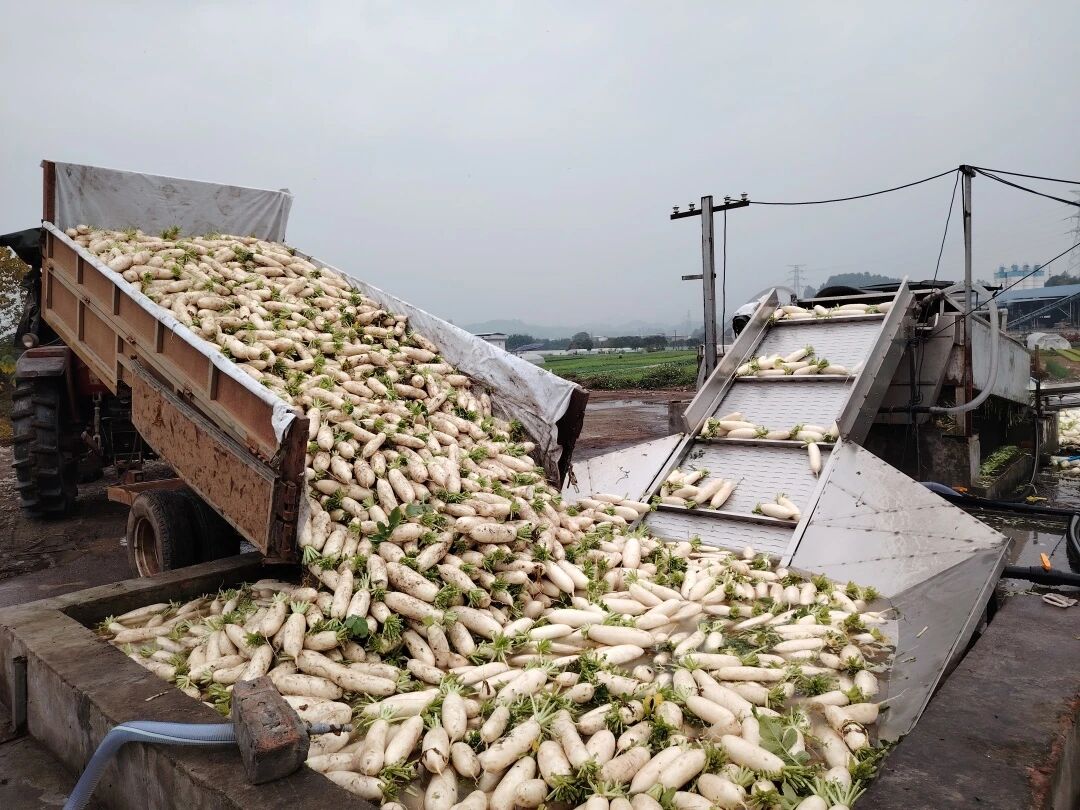 /website-webapp/ewebeditor/uploadfile/3