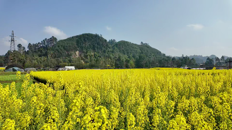 /website-webapp/ewebeditor/uploadfile/2