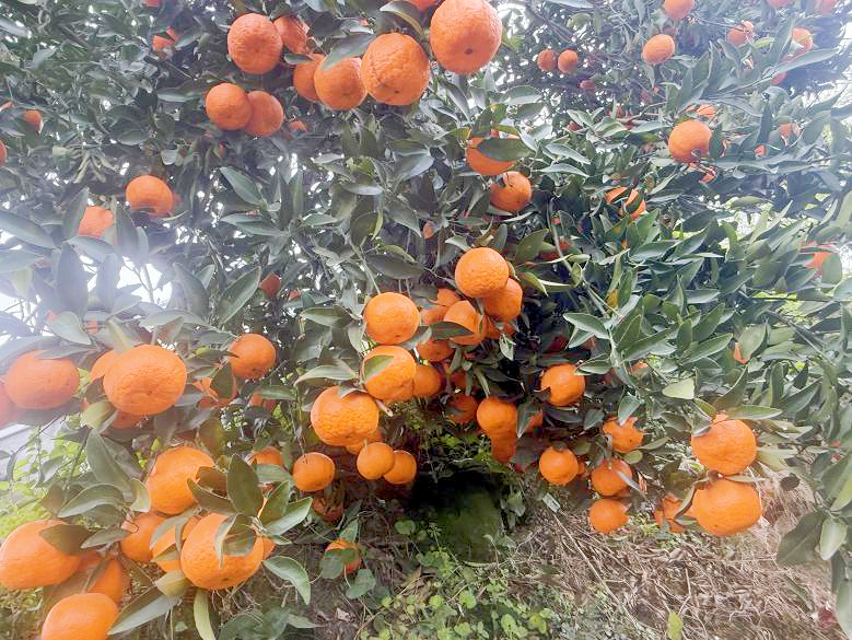 /website-webapp/ewebeditor/uploadfile/9