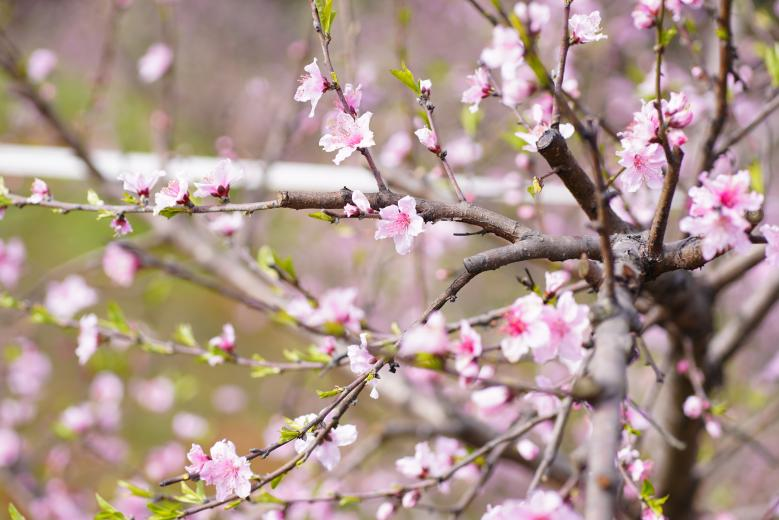 /website-webapp/ewebeditor/uploadfile/8