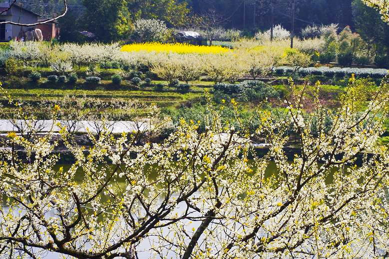 /website-webapp/ewebeditor/uploadfile/10