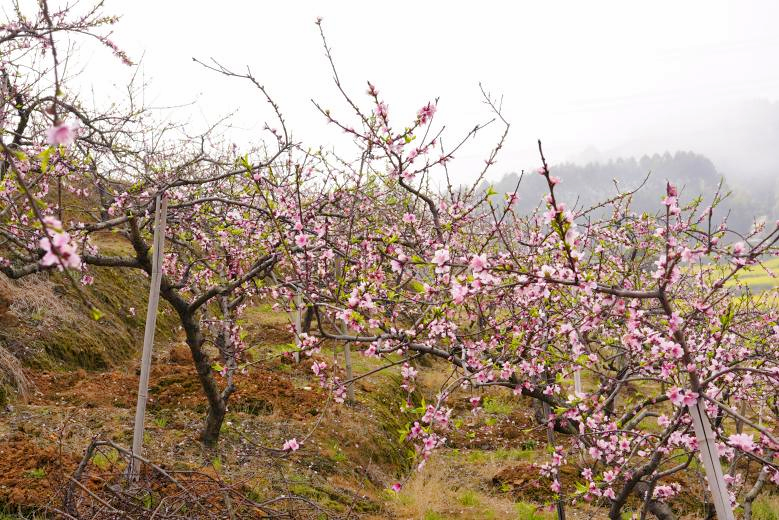 /website-webapp/ewebeditor/uploadfile/7